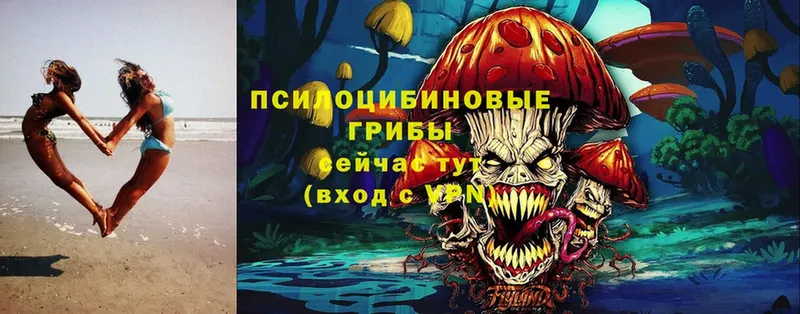 хочу   Кадников  ссылка на мегу вход  Псилоцибиновые грибы Cubensis 